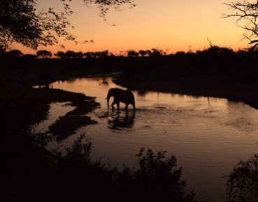 safaris in southern africa with endeavour safaris