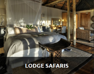 lodge safaris